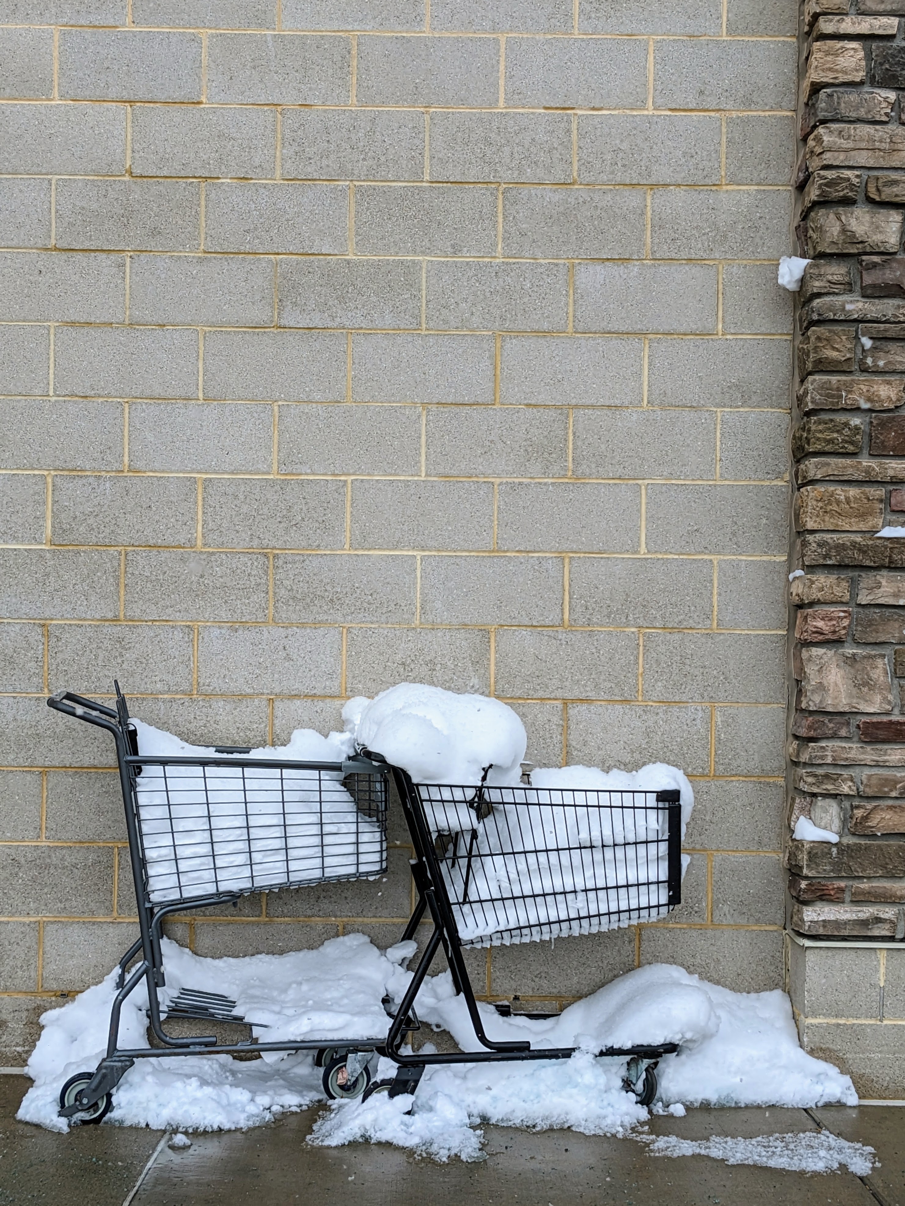 untitled shopping carts