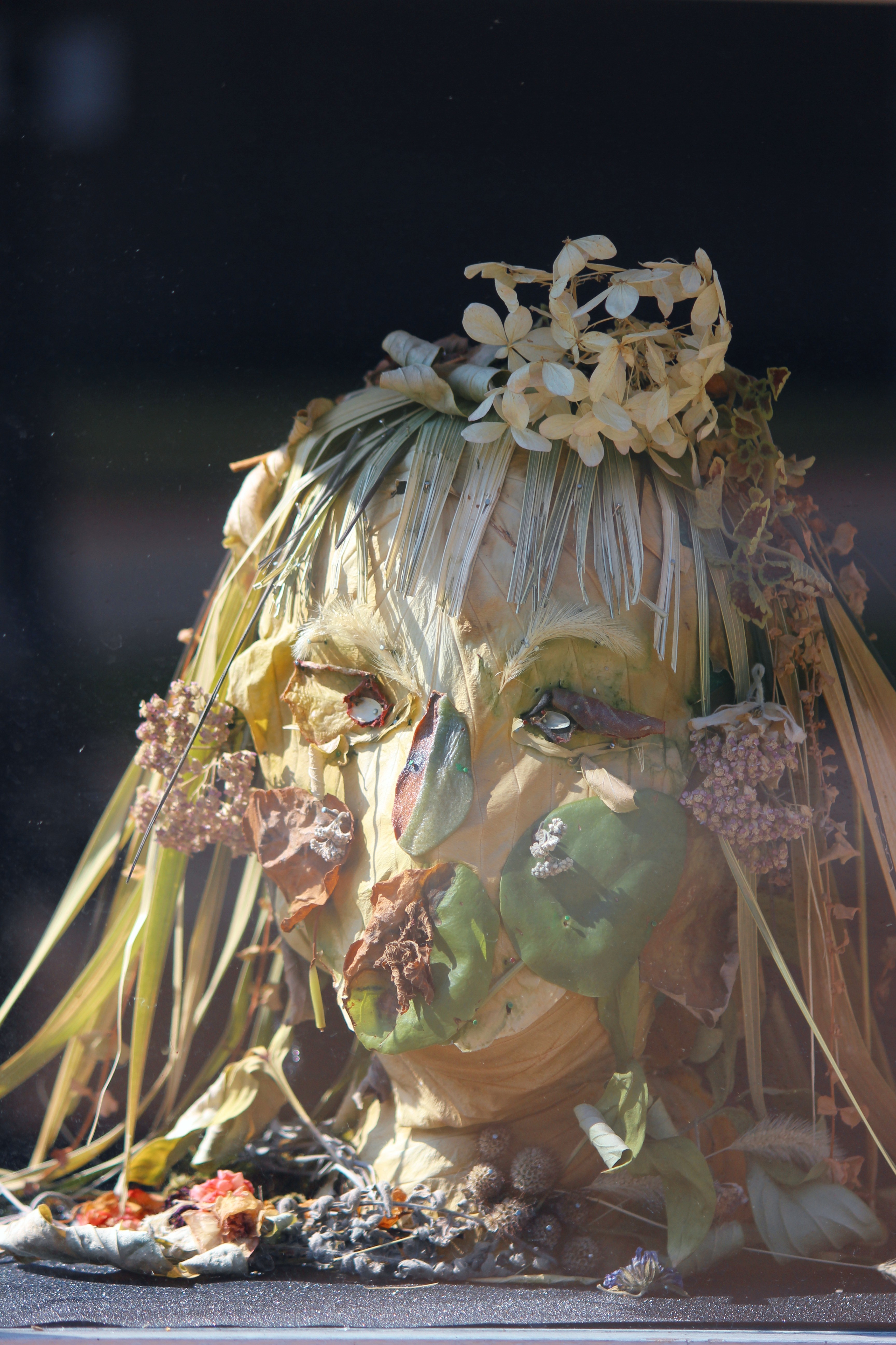 ephemeral nature: self-portrait